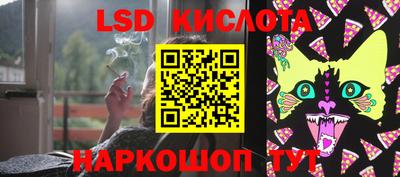 гидра Камышлов