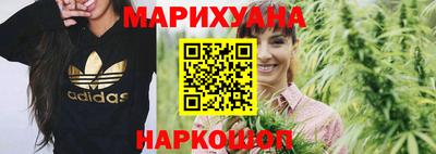 гидра Камышлов