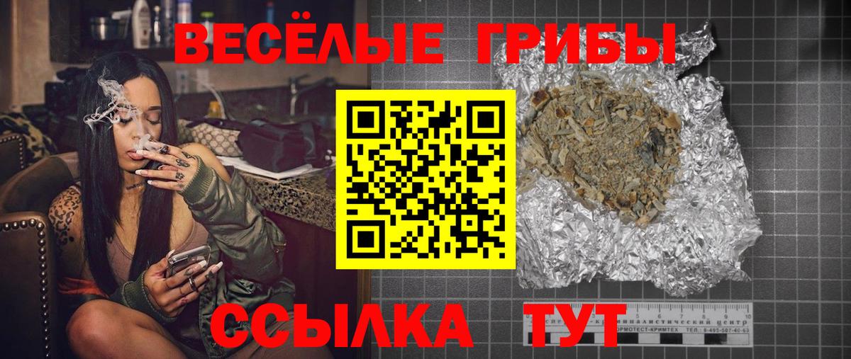 Псилоцибиновые грибы мицелий Балтийск